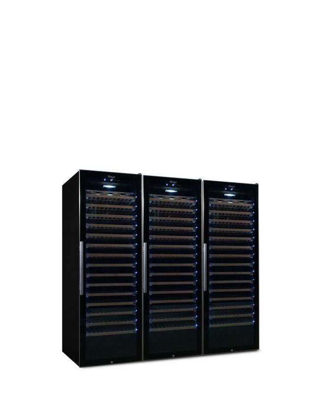 Professional, air-conditioned Large Wine Refrigerator for 585 bottles