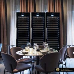 Professional, air-conditioned Large Wine Refrigerator for 585 bottles