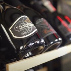 VERMIETUNG | Professioneller Weinkühlschrank, 166 Flaschen, klimatisierte, Luxury